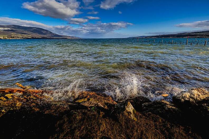 Au bord du lac en hiver - Au bord du lac en hiver-MCF32096_Luminar3-edit.jpg Au bord du lac en hiver-MCF32096_Luminar3-edit.jpg