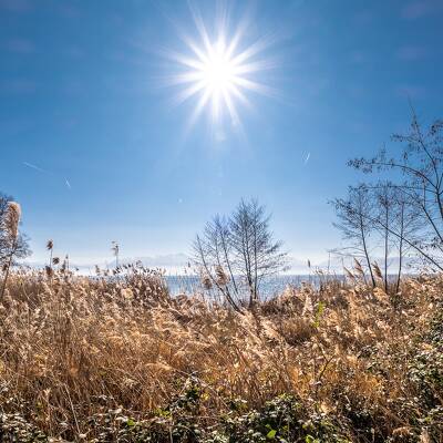 Morges au printemps